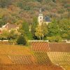 champagne tour Epernay